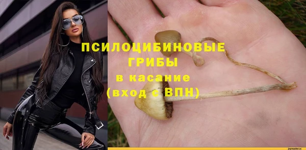 дмт Сафоново