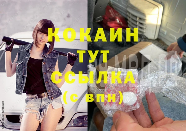 бошки Белокуриха