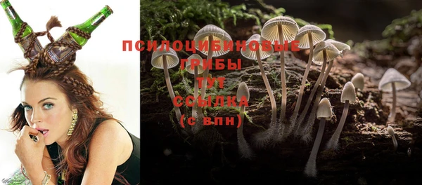 a pvp Беломорск